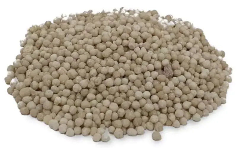 Diammonium Phosphate