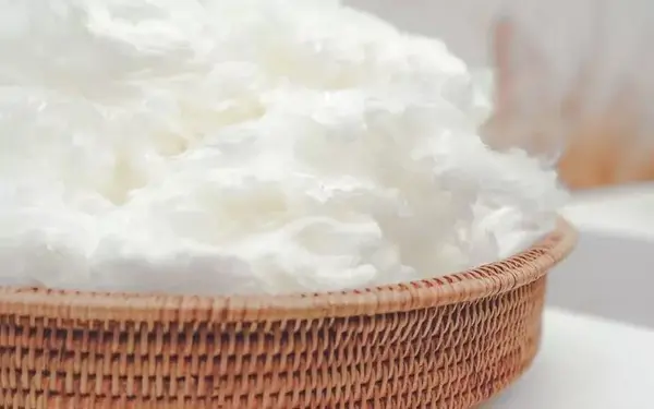 Viscose
