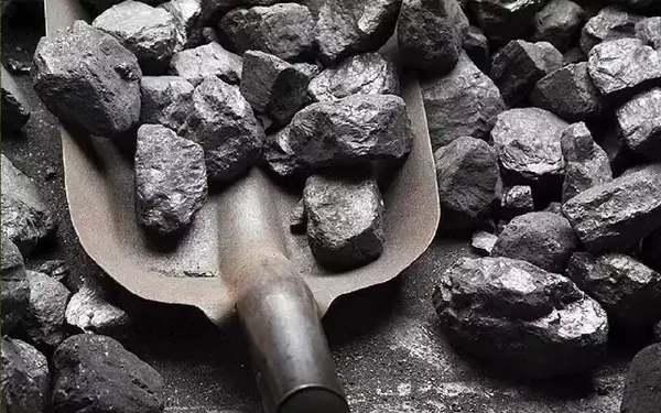 Coal