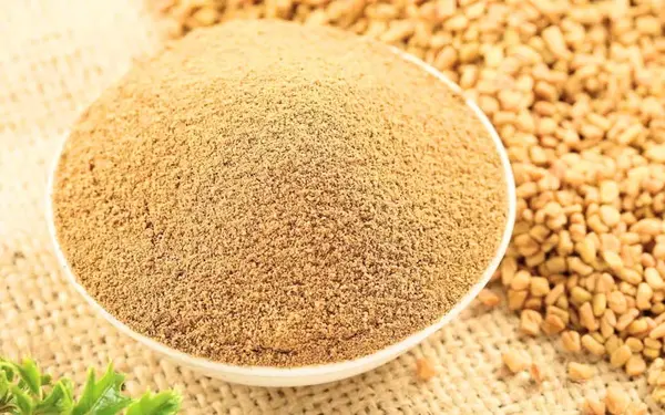 Salep Powder
