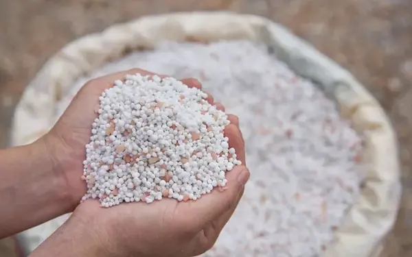Ammonium Nitrate