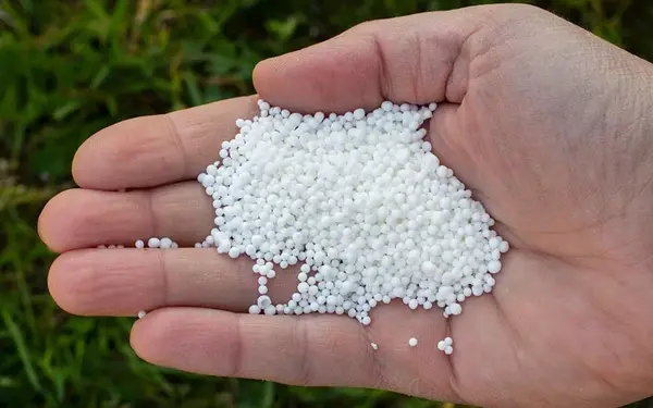 Calcium Nitrate