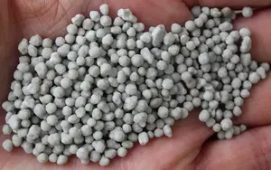 Ammonium Sulfate
