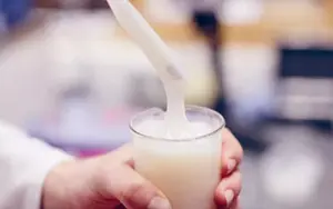 Starch Adhesive