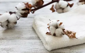 Cotton