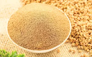Salep Powder