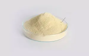 Amino Acid