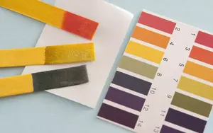 pH Paper