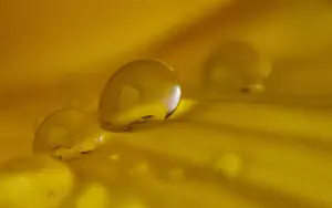 Vitamin E